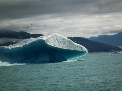 Iceberg