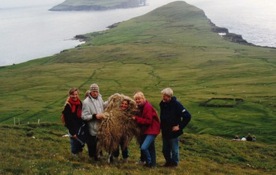 Loa Faroe sheepskin