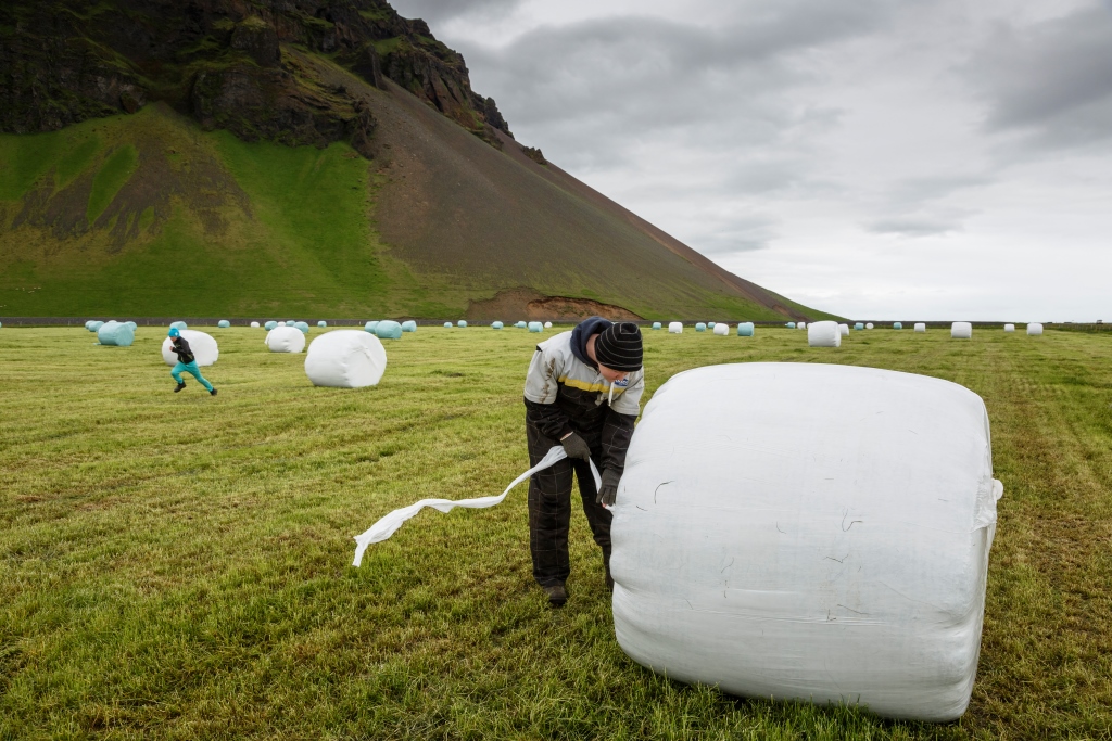 Icelandic Youth