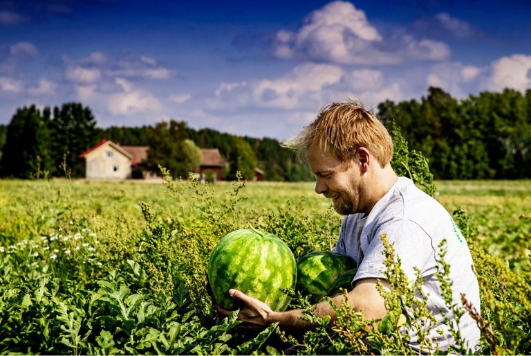 Water melon farmer