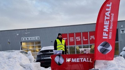 Tesla strike guard