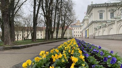 Ukrainian colours