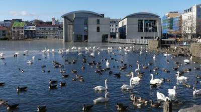 Grindavík town hall