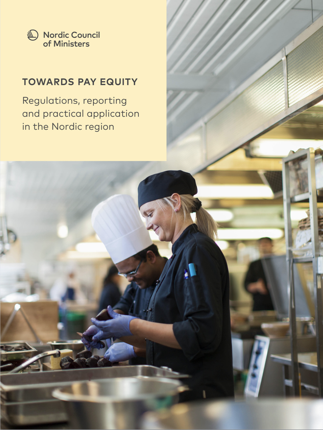 Pay equity repot