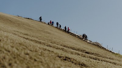 Volunteers stairs