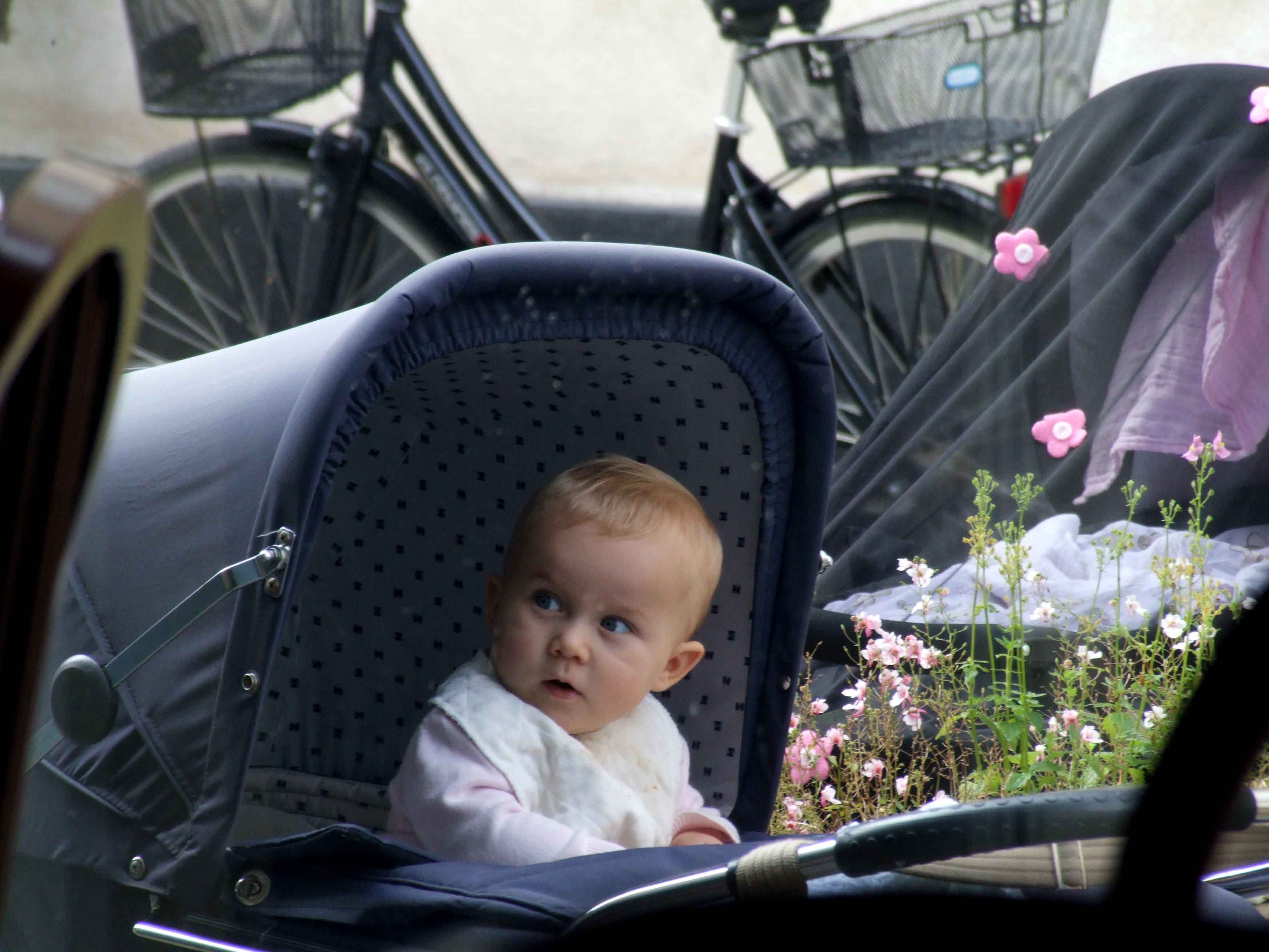 Hungry Eyes for Scandinavian Baby Buggies