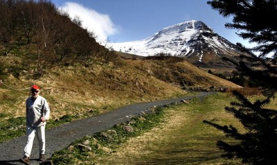 Half of older Icelanders are still working