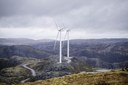 Reindeer herders want Norwegian wind farm demolished 