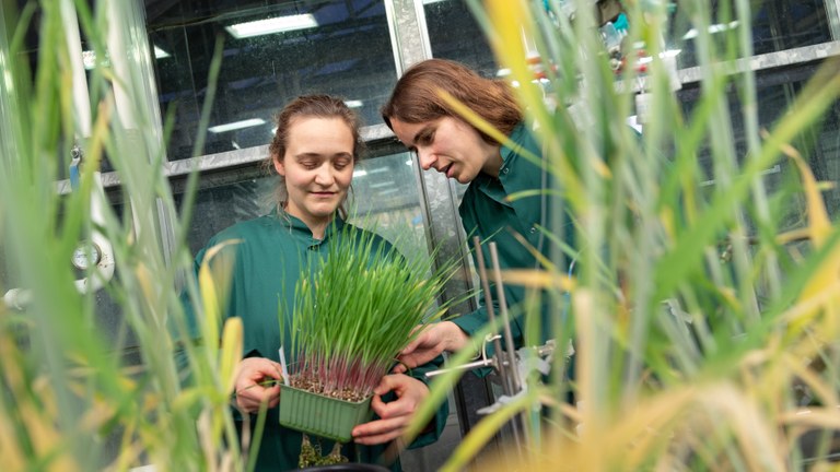 Urban women in Denmark want to reform agriculture